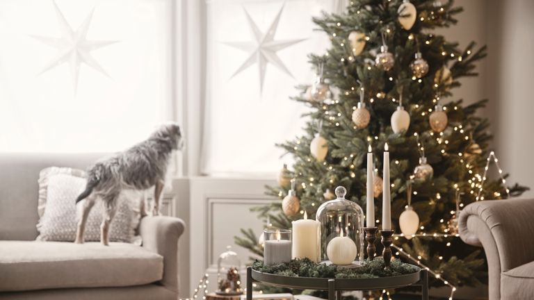 types of Christmas tree - living room with christmas tree and decorations by Lights4fun