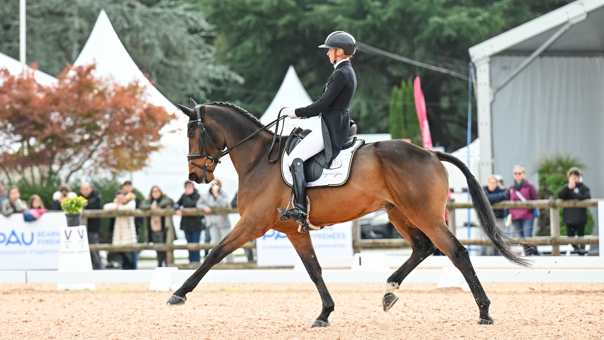 Emily King and Valmy Biats top the Pau Horse Trials dressage results 2026