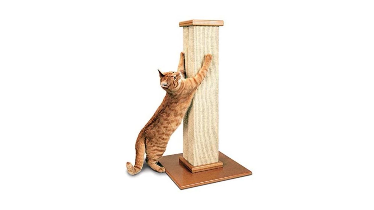 SmartCat Pioneer Pet Ultimate Scratching Post