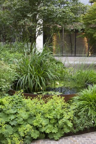 Raised circular pond with grasses and shrubs with trees in the background shielding a building