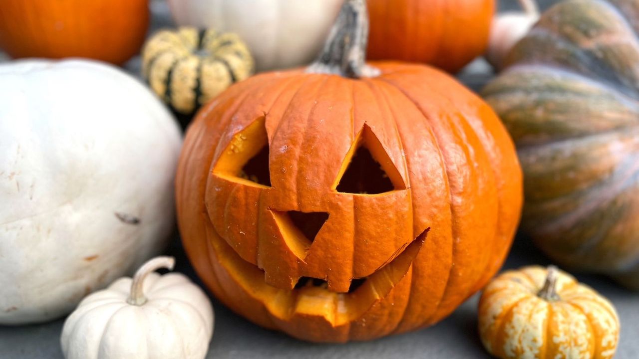 a carved pumpkin surrounded by pumkins