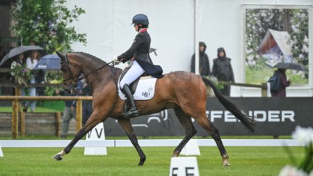 Piggy March and MCS Maverick in the Bramham Horse Trials dressage 2026.