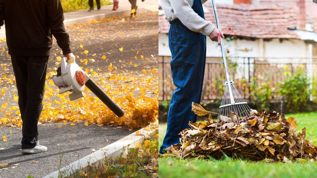 Leaf blower vs rake 