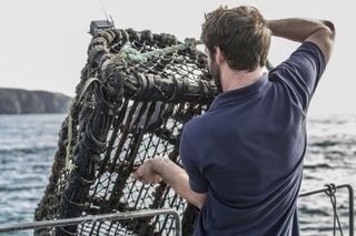 Lobster pot used to deploy underwater cameras off the coast of Alderney