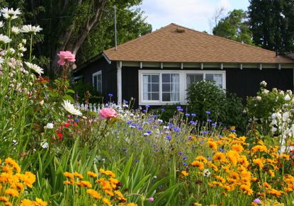 English Cottage Garden Style Full Of Colorful Plants