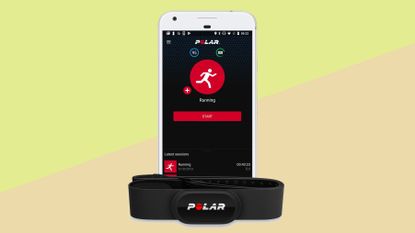 Polar H10 Heart Rate Monitor