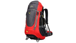 Doshwin 70L Backpack