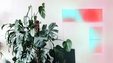 LIFX smart lighting panels in room with white scheme, houseplants and light panels