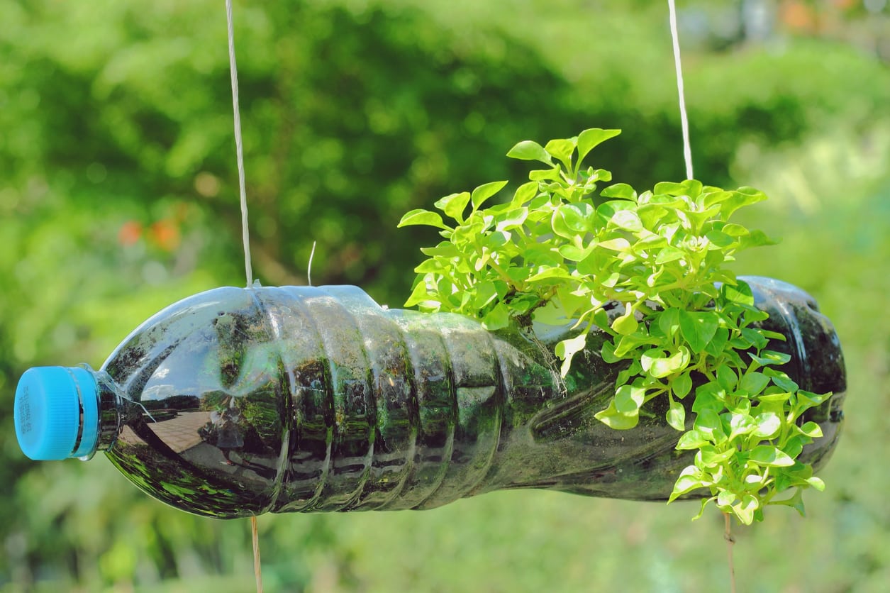 Gardening With Old Bottles Ideas For Reusing Bottles In The Garden 