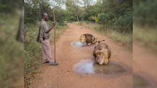 The Anthropocene Illusion by Zed Nelson