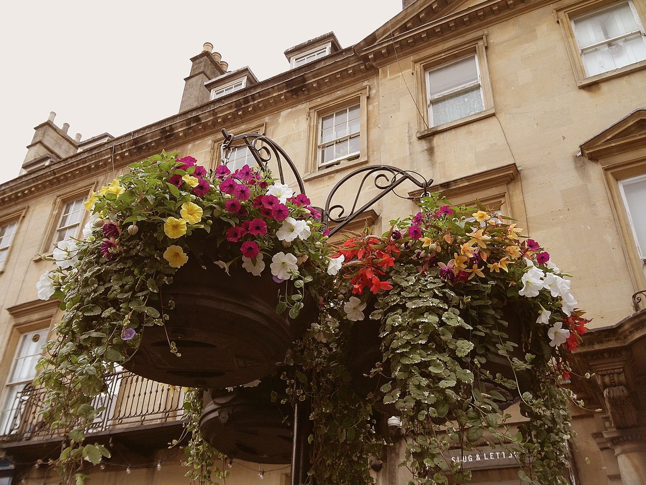 Sample image taken with Camp Snap 2 digital compact camera, showing hanging baskets of flowers on a street side