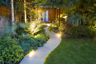 how to plan garden lighting: garden path and tropical plants