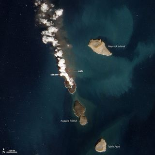 Earth's Newest Island, Burped from a Volcano, Is a Keeper