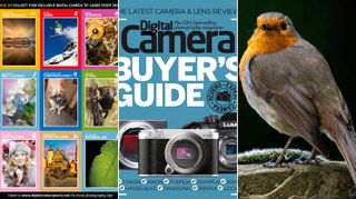 Digital Camera 291 download