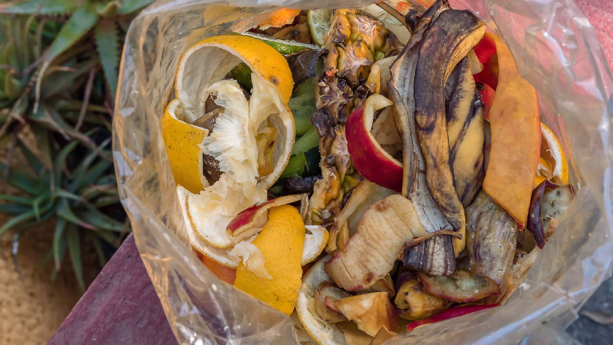 Food waste in bag