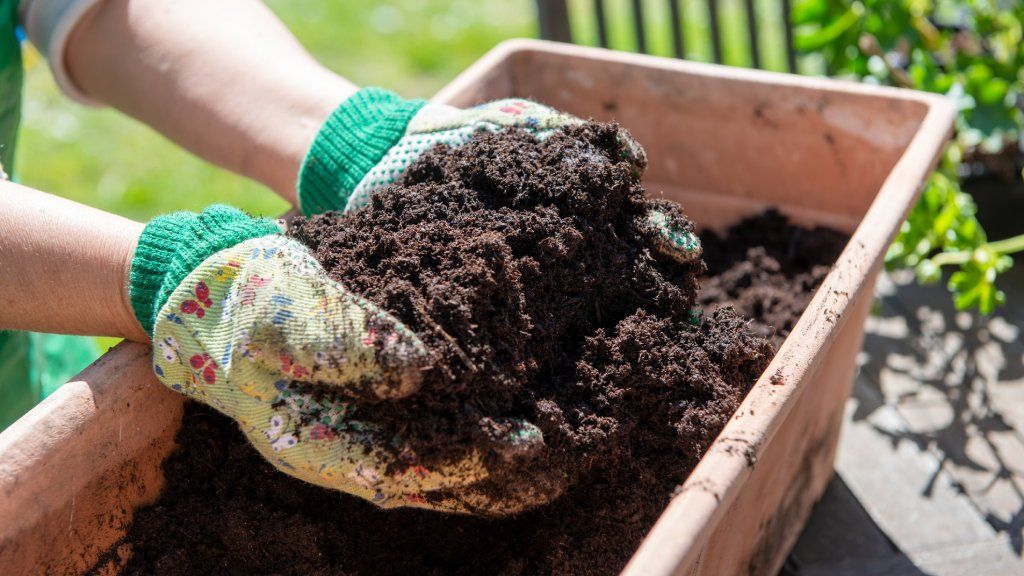 Gloved hands holding potting soil