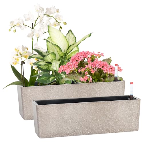 Gardenbasix Elongated Self Watering Planter Pots 2-Pack Window Box 5.5 X 16 Inch Indoor Home Garden Modern Decorative Pot for All House Plants Flowers Herbs (coffee,2)