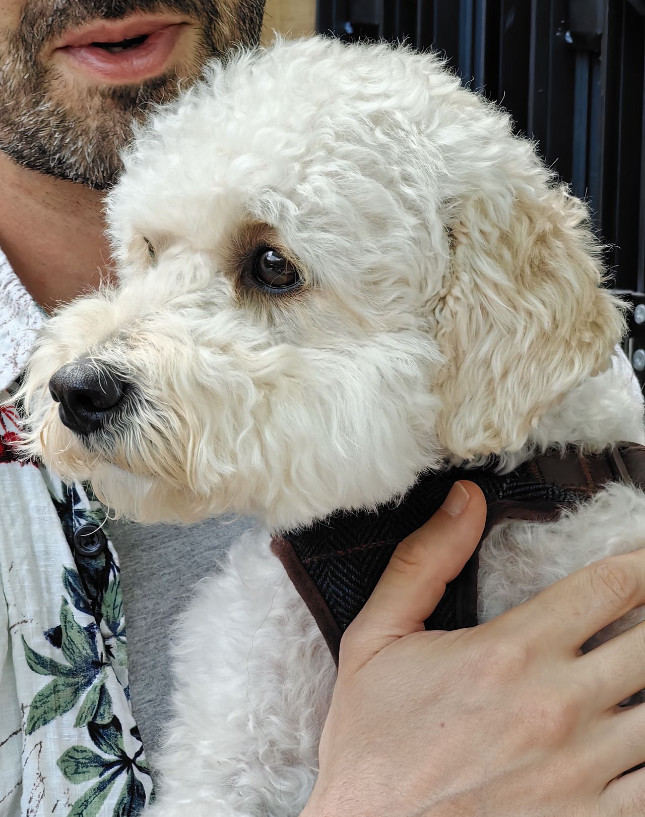 A photo taken on the Huawei Mate X3's telephoto camera