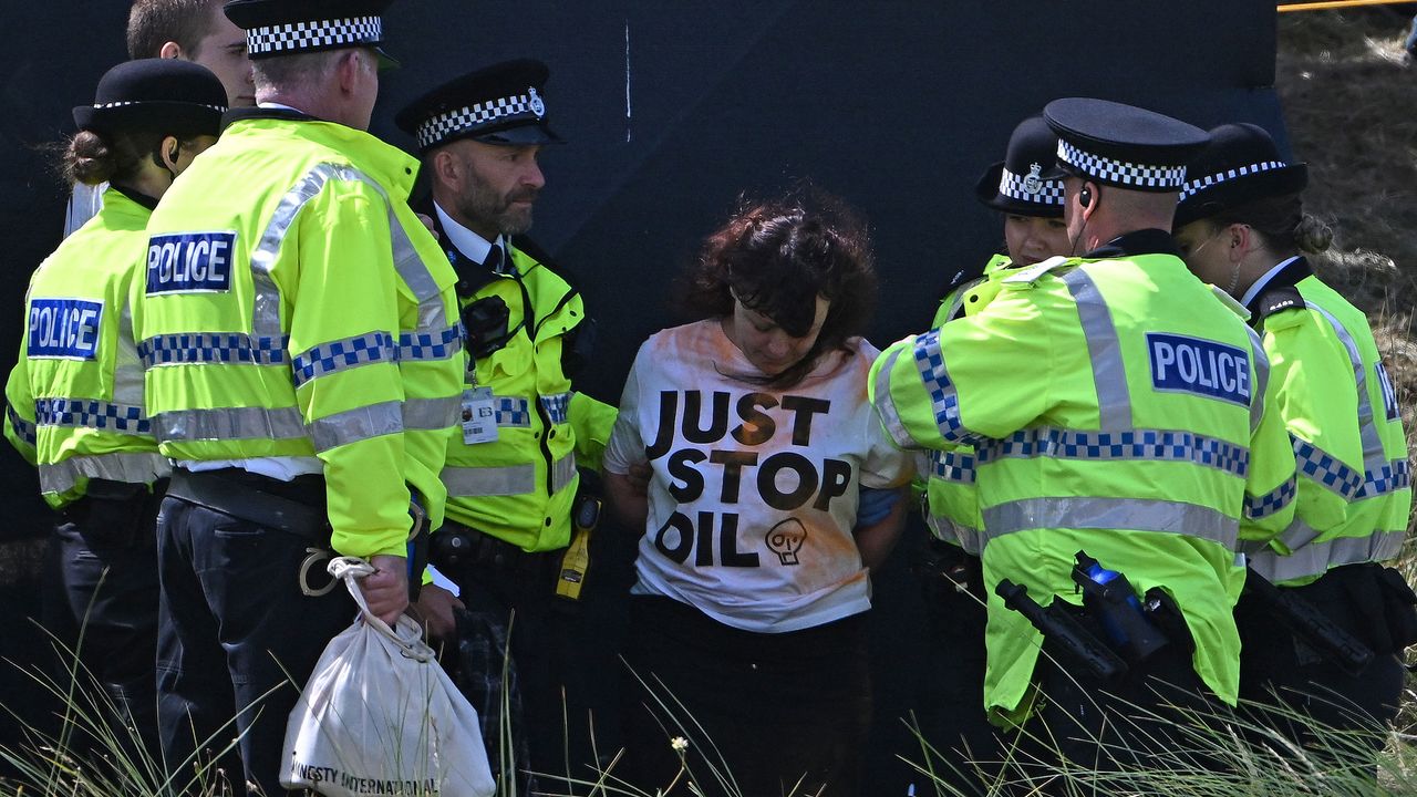 A woman wearing a &#039;Just Stop Oil&#039; top being detained by police