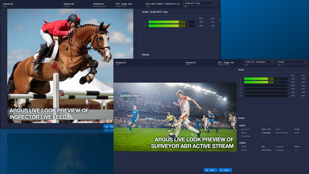 Telestream Argus V2.3 With Live Look