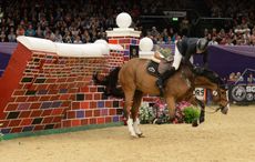 HOYS-gallery-12.jpg