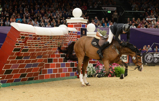 HOYS-gallery-12.jpg