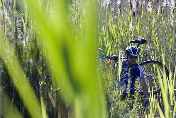 A man amongst the vegetation of stage five