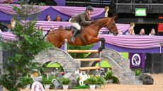 HorseNo551_HOYS_PN23_101776.jpg