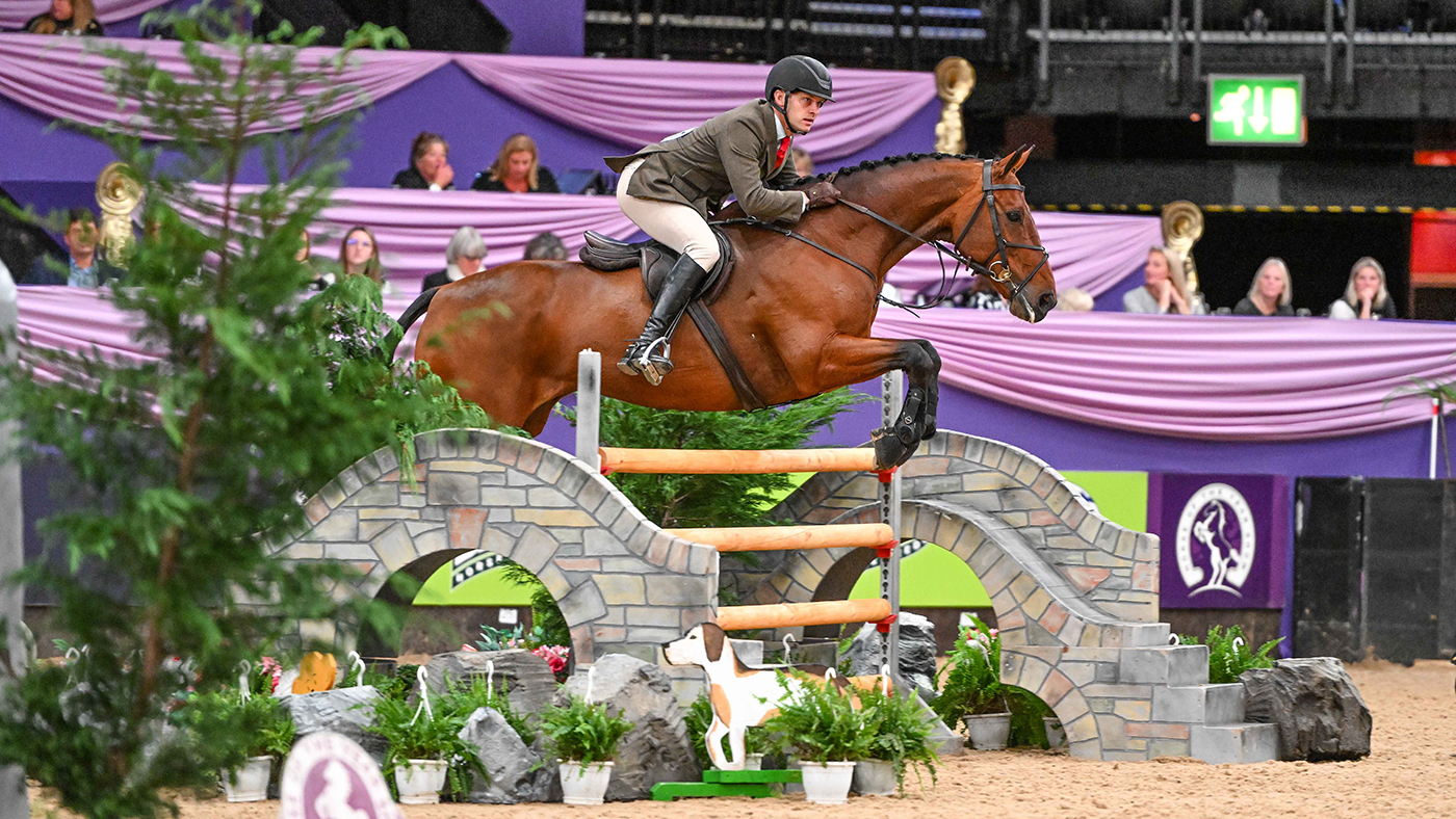 HorseNo551_HOYS_PN23_101776.jpg