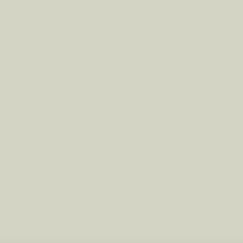 pale green paint swatch