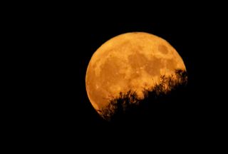 The Harvest Moon of Oct. 1, 2020.