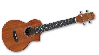 Best beginner ukuleles: Ibanez UEW5 Ukulele