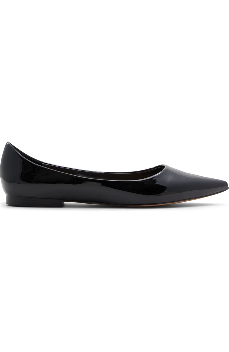 Stessy Pointed Toe Flat