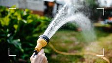picture of person using water hose to water garden