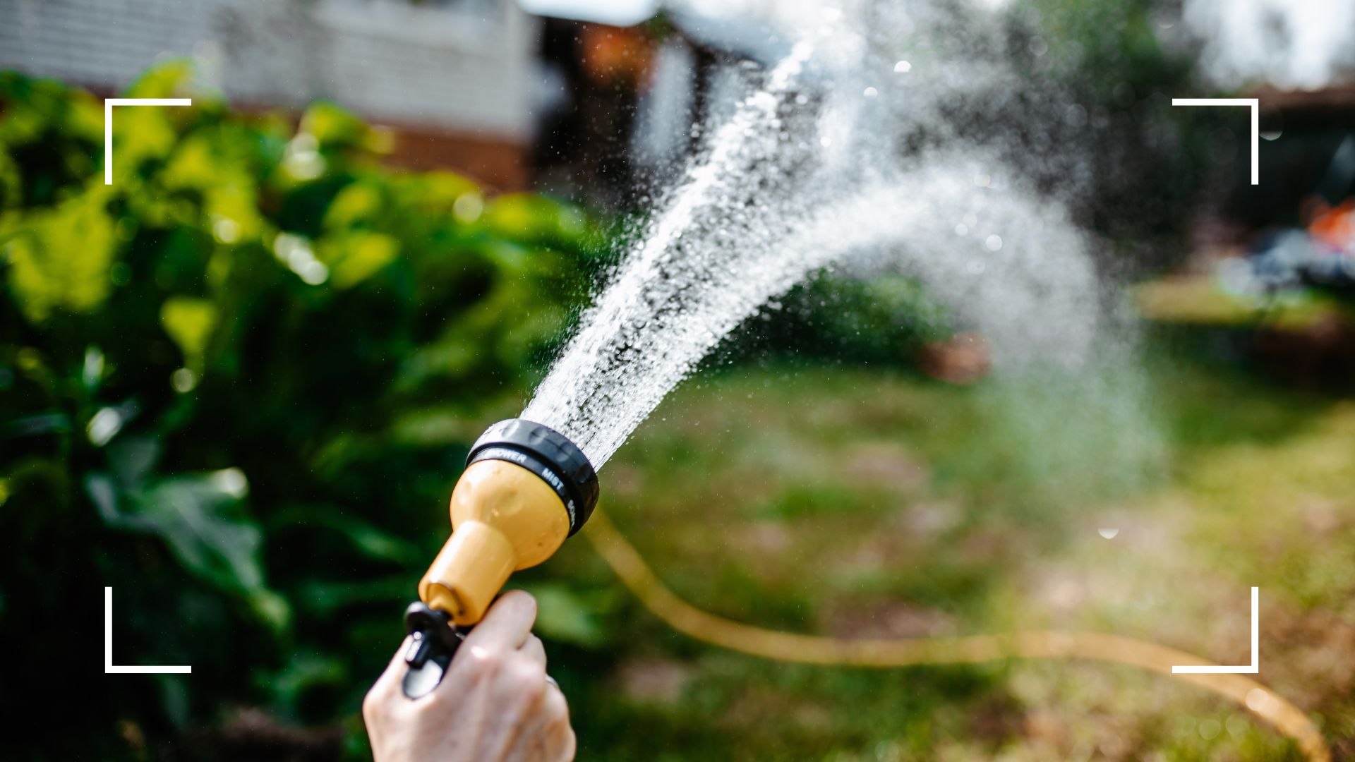 picture of person using water hose to water garden