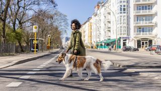 Woman walking across the road with a dog