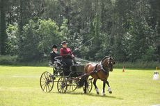 Emily Ham and Crossfield Glory at Sandringham