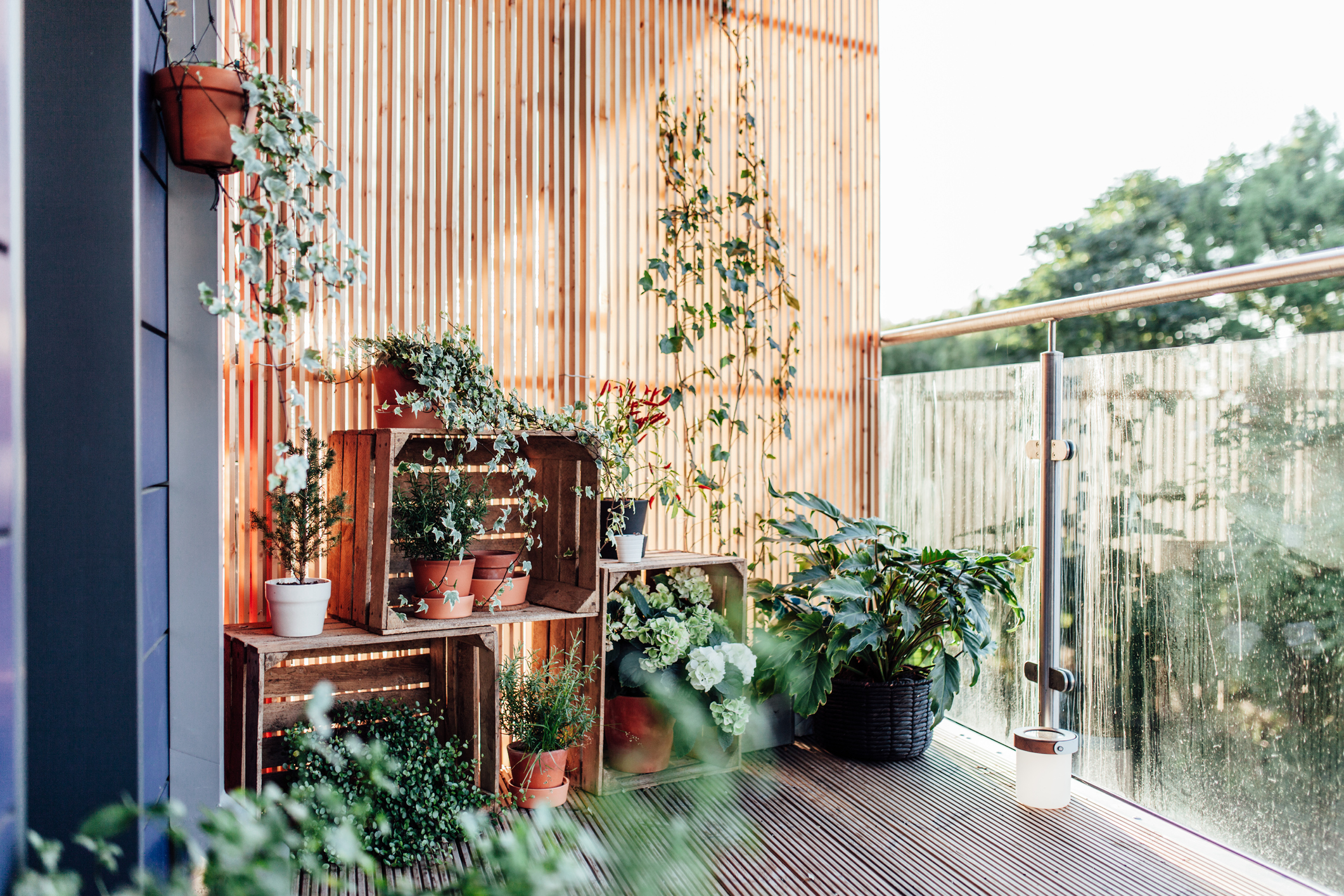 Container garden on a balcony