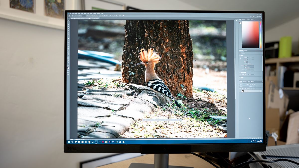 BenQ RD280UG programming monitor