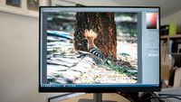 BenQ RD280UG programming monitor