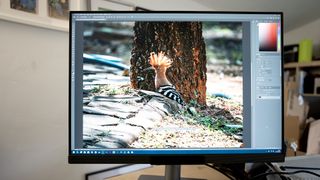 BenQ RD280UG programming monitor