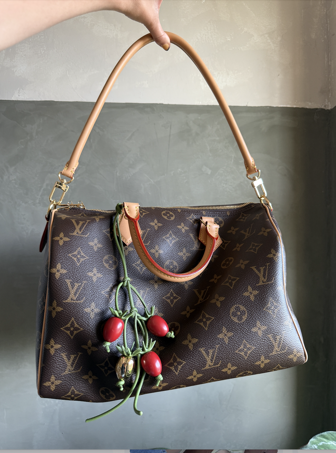 Hand holding up louis vuitton soft speedy bag