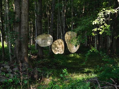 Three golden plates hanging between trees in a forest, designed by Minjae Kim and forming part of a collection by TIWA Select