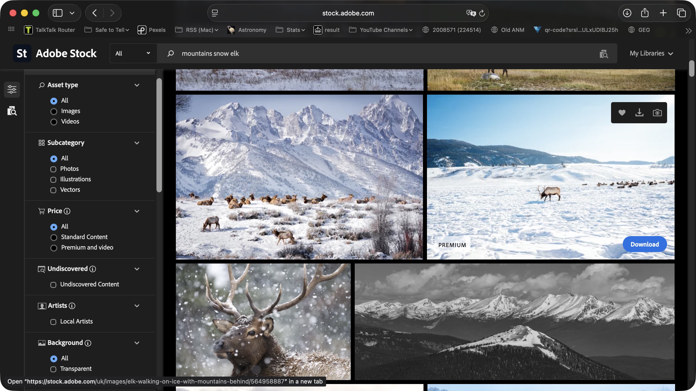 Using Adobe Stock AI Studio to test the features and tools on a Mac