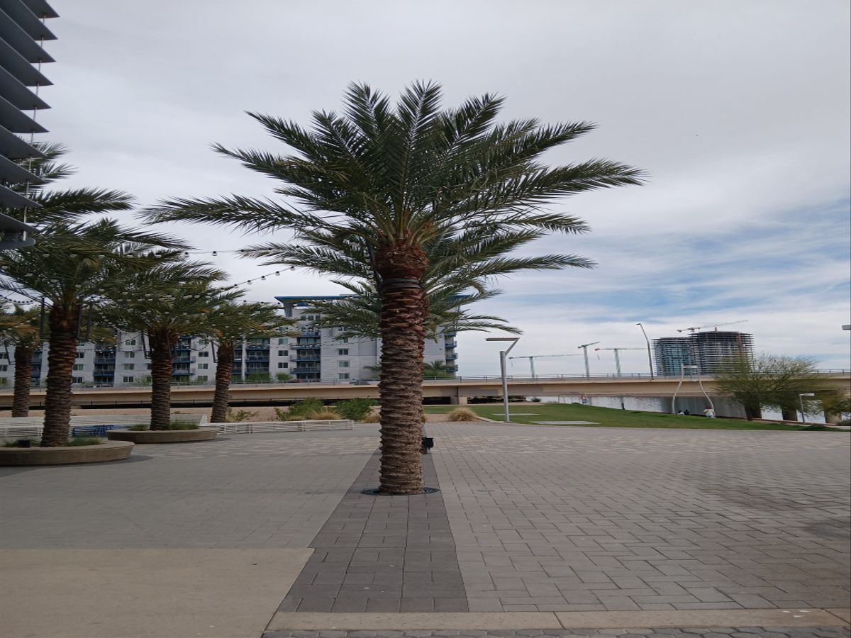 Camera sample captured by the Samsung Galaxy A15 5G