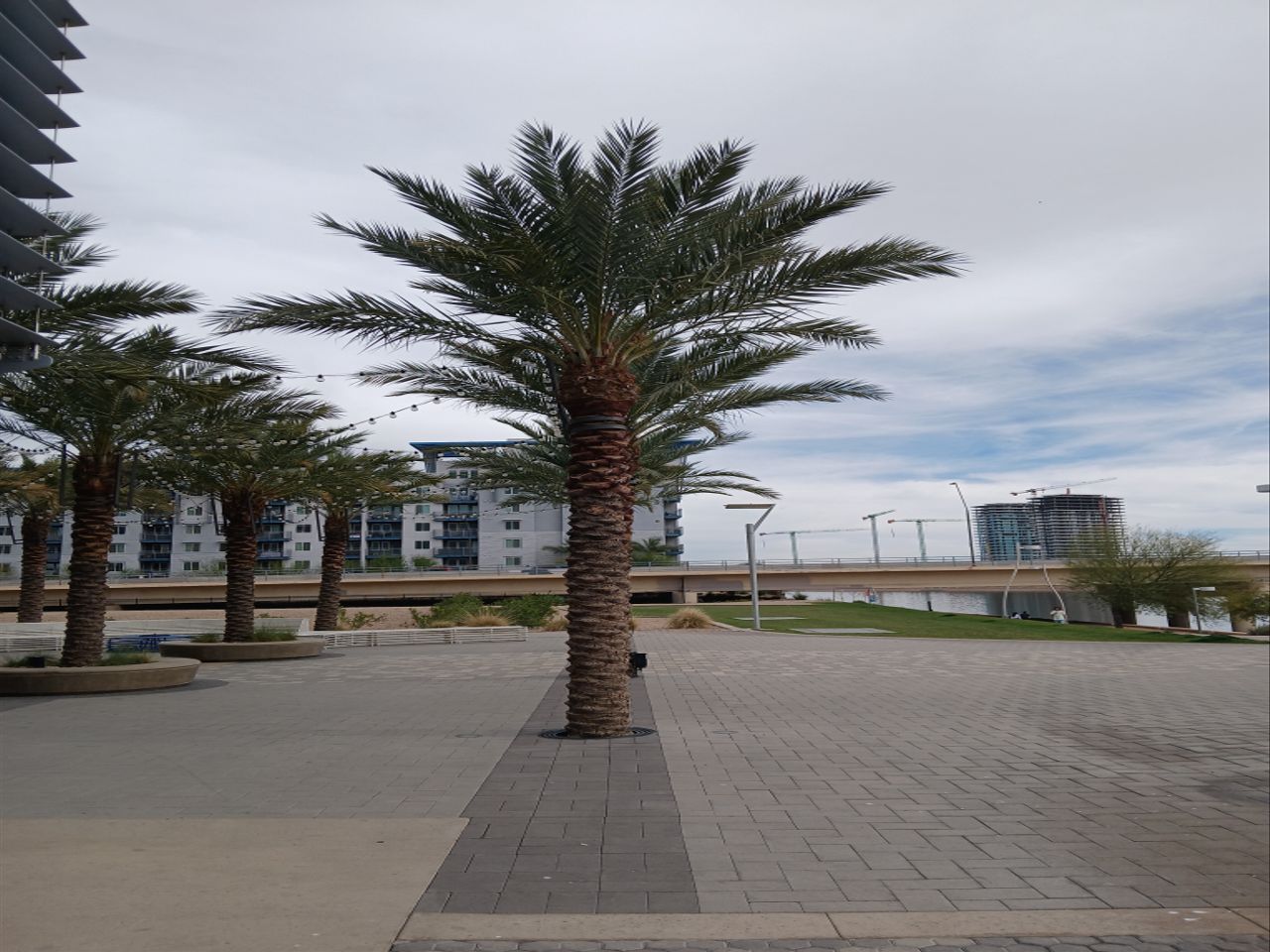 Camera sample captured by the Samsung Galaxy A15 5G