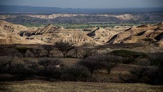 A photograph of a hilly landscape with sand, grass, and trees