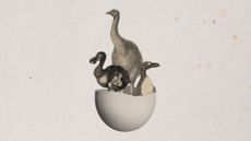 Illustrative collage of three extinct birds (a great auk, a dodo and a moa) coming out of a cracked eggshell