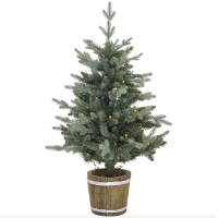 3.5ft Pre-lit Barrel Potted Christmas Tree: £69