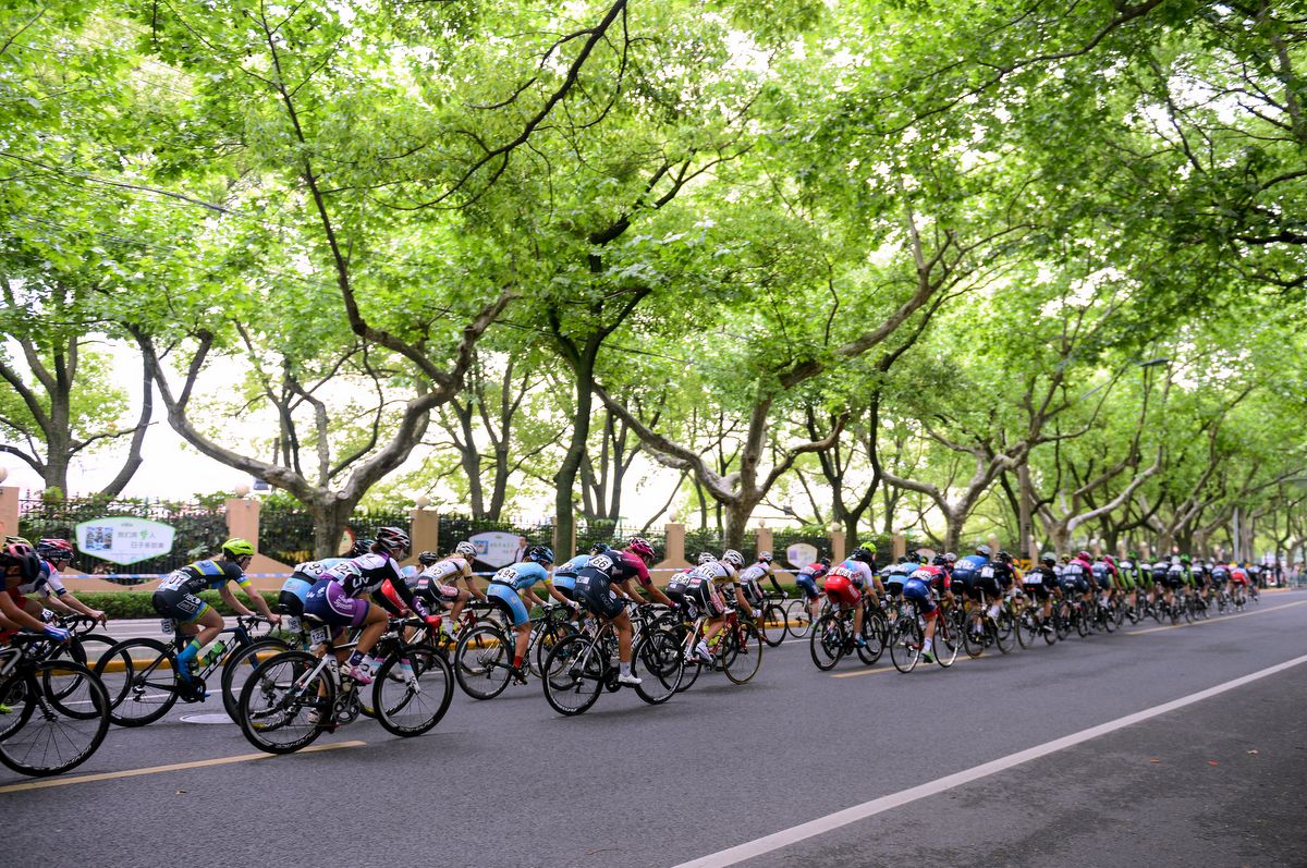 Green trees cover the peloton